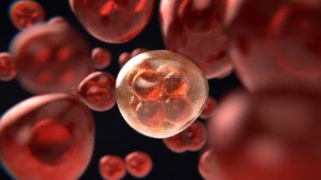 What do you really know about Biology?