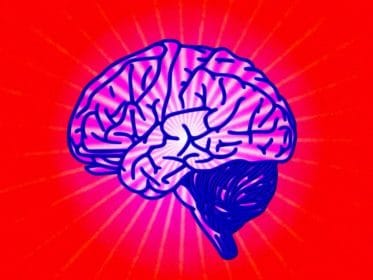 TRIVIA: This quiz is loaded with mind-blowing facts
