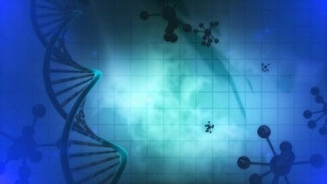 Can you pass this Science Quiz?