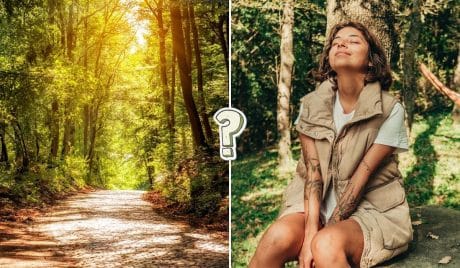Nature general knowledge trivia quiz