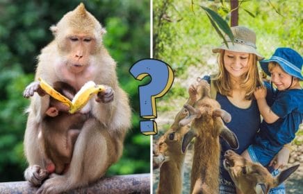 73% of people cannot answer all the questions in this biology test