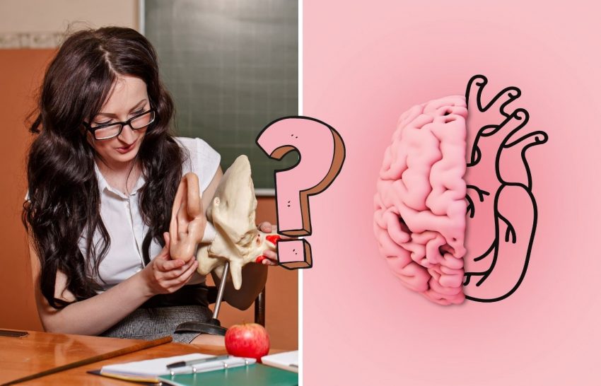 Can you ace this human anatomy quiz?