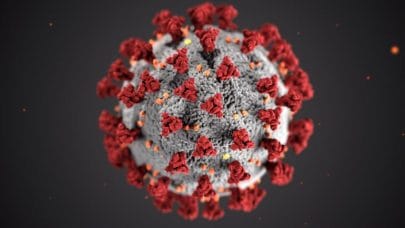 QUIZ: you just have to select if a disease has a cure or not