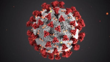 QUIZ: you just have to select if a disease has a cure or not