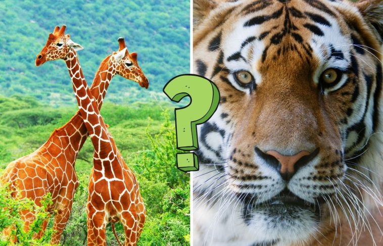QUIZ: 15 animal quiz questions to test you out