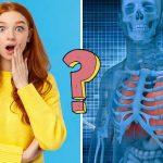 QUIZ: I bet you won't score over 11/13 in this human body quiz