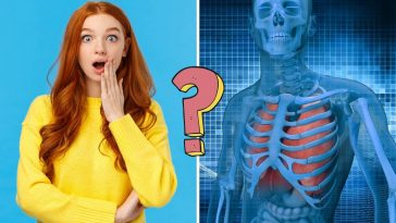 QUIZ: I bet you won't score over 11/13 in this human body quiz