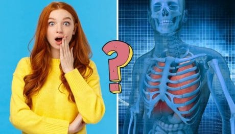 QUIZ: I bet you won't score over 11/13 in this human body quiz