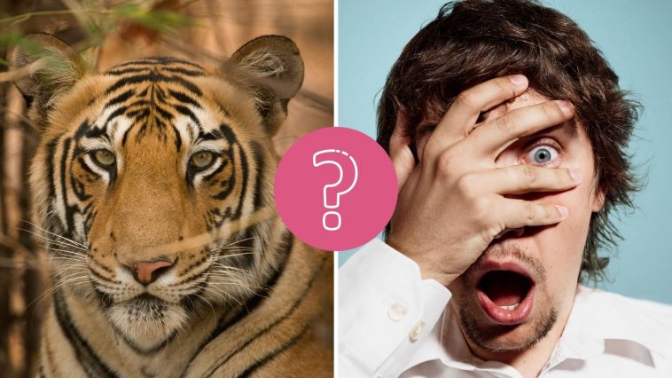15 animal questions to test your knowledge
