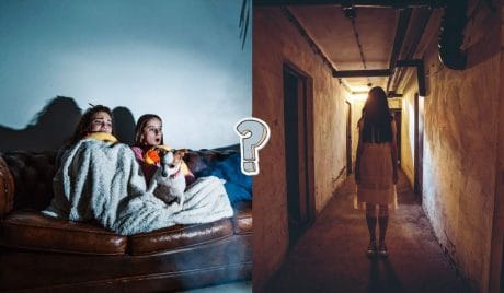 TRIVIA QUIZ: Guess the horror movie from its description?