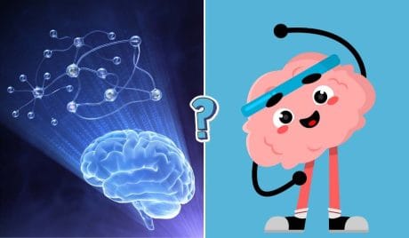 15 True or False general knowledge questions