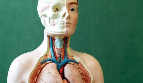 QUIZ: 15 biology quiz questions