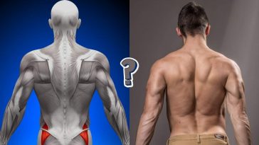 QUIZ: Can you answer these basic human anatomy questions?