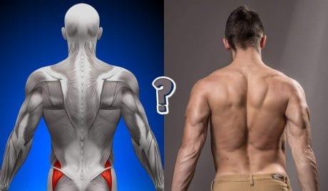 QUIZ: Can you answer these basic human anatomy questions?