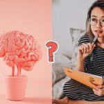 QUIZ: Can you beat you friends in this general knowledge quiz?