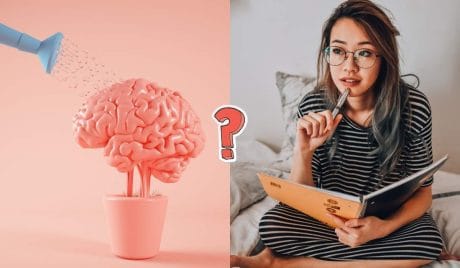 QUIZ: Can you beat you friends in this general knowledge quiz?