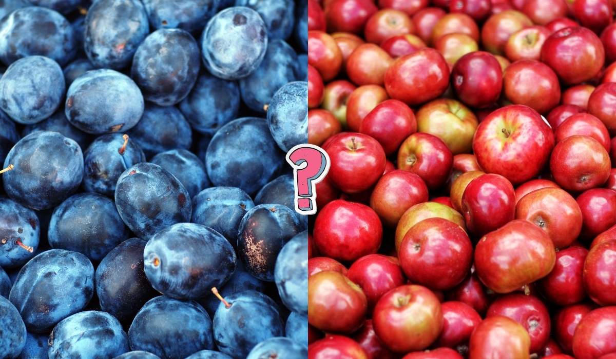 QUIZ: Can you name all of these fruits?