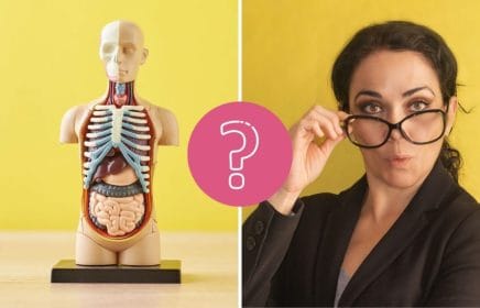 QUIZ: Every adult should know how to answer these human anatomy questions