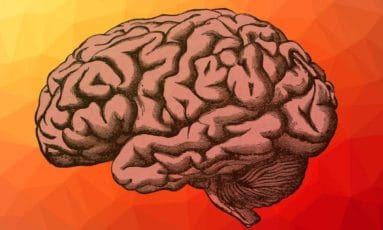 TRIVIA QUIZ: Hard general knowledge questions