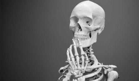 Trivia quiz. 15 biology and anatomy questions every adult should answer