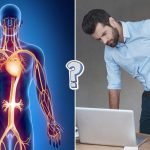 TRIVIA QUIZ: 25 human anatomy questions to test you out