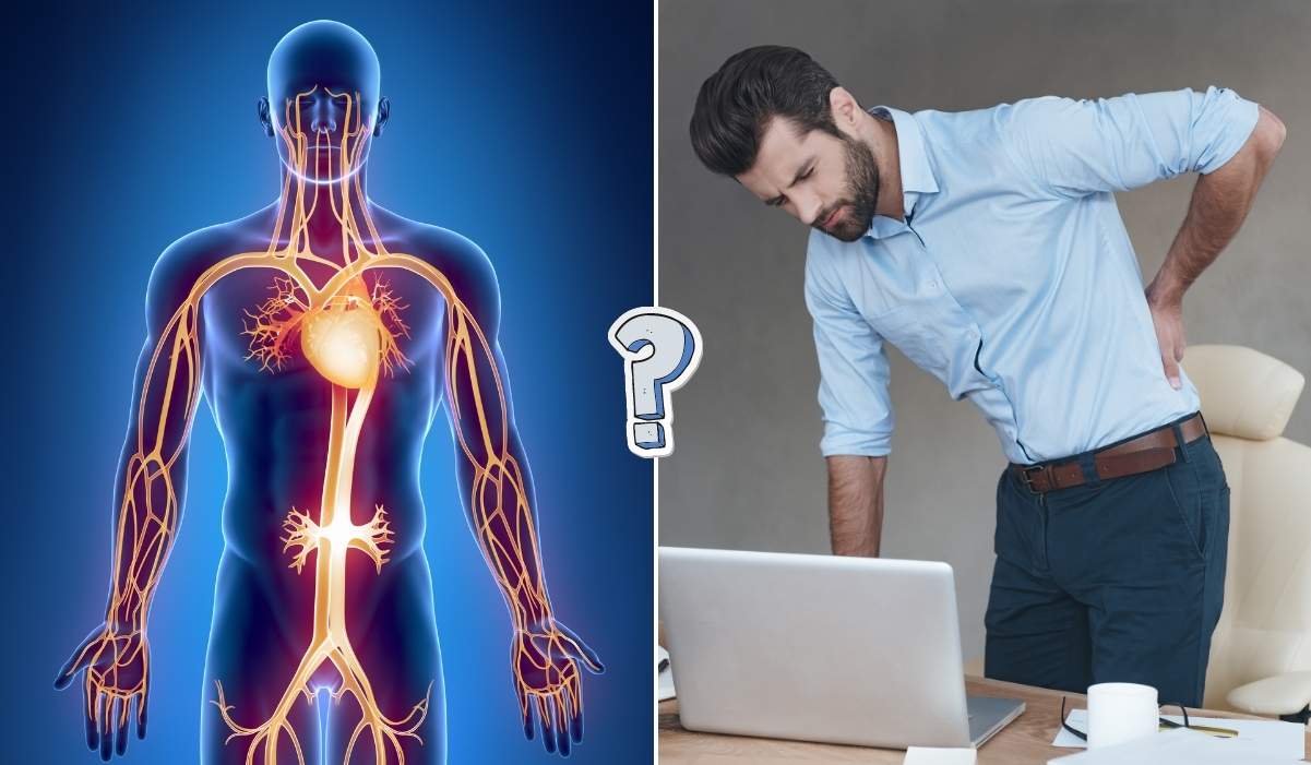 TRIVIA QUIZ: 25 human anatomy questions to test you out