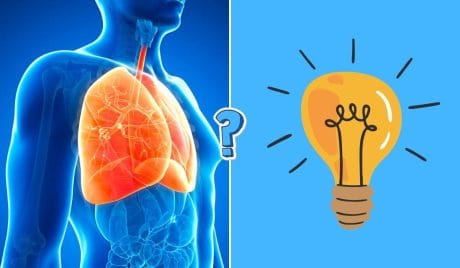 Science knowledge quiz