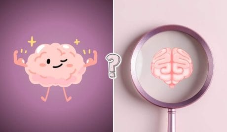 Anatomy test