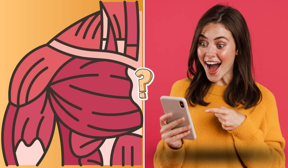 This HUMAN BODY quiz is both fun and easy