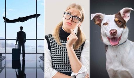 This general knowledge quiz is really hard to pass