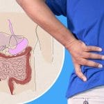 Anatomy Quiz
