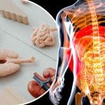 anatomy and biology quiz