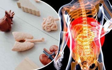 anatomy and biology quiz
