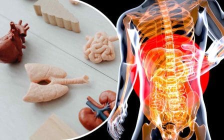 anatomy and biology quiz