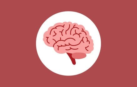 knowledge quiz