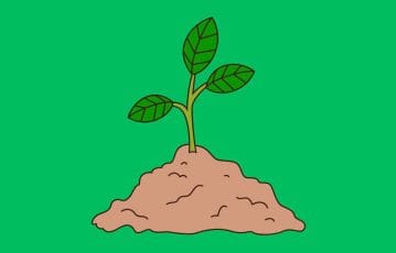 15 biology questions