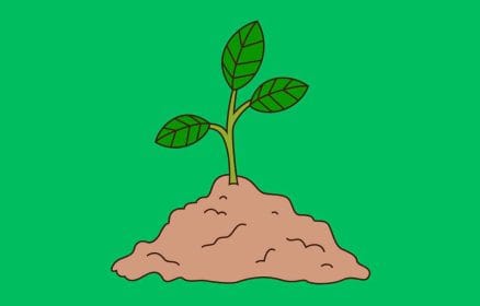 15 biology questions