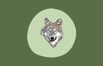 Animal trivia quiz