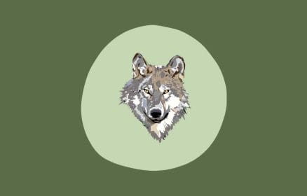 Animal trivia quiz