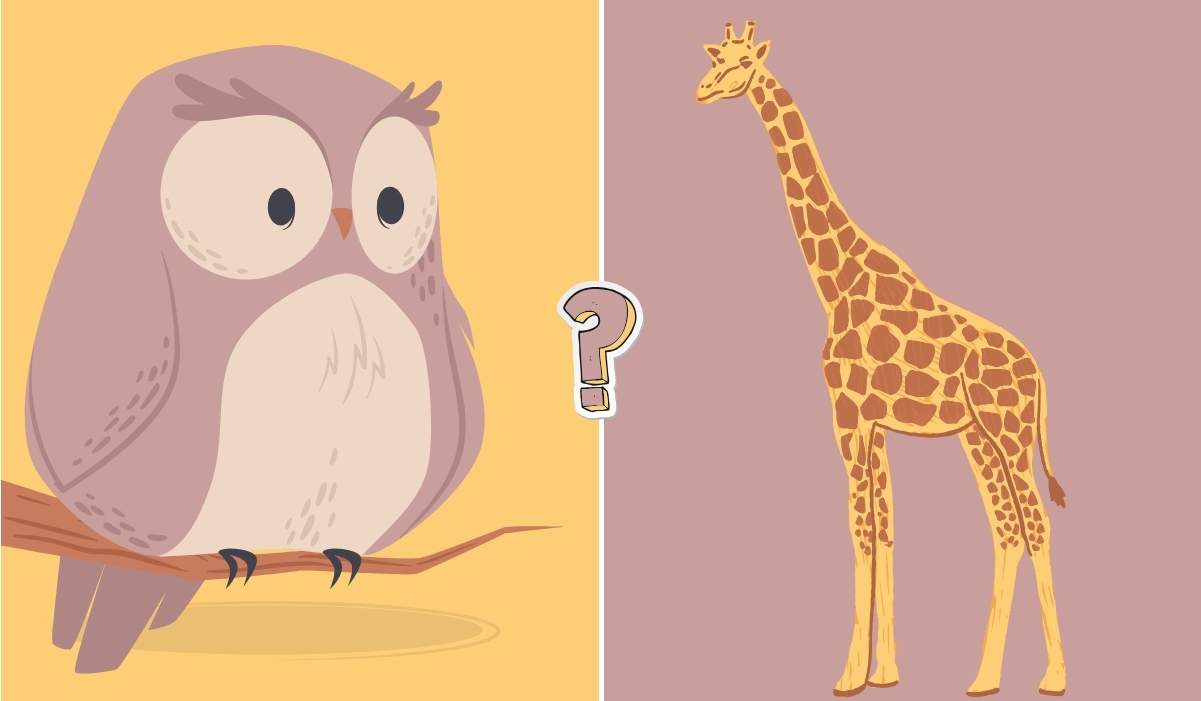 15 trivia questions about animals
