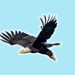 U.S. National Parks Quiz