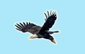 U.S. National Parks Quiz