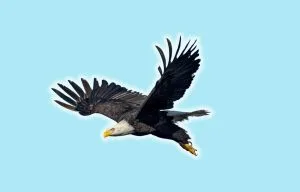 U.S. National Parks Quiz